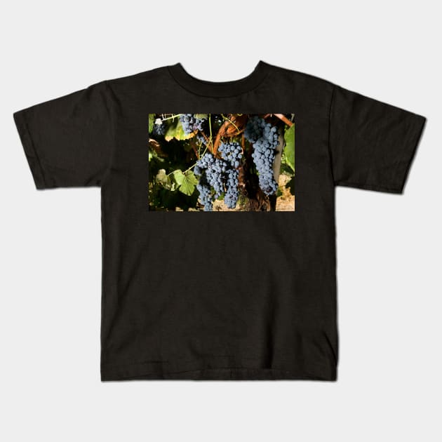 Grape Vineyard 2 Kids T-Shirt by Bravuramedia